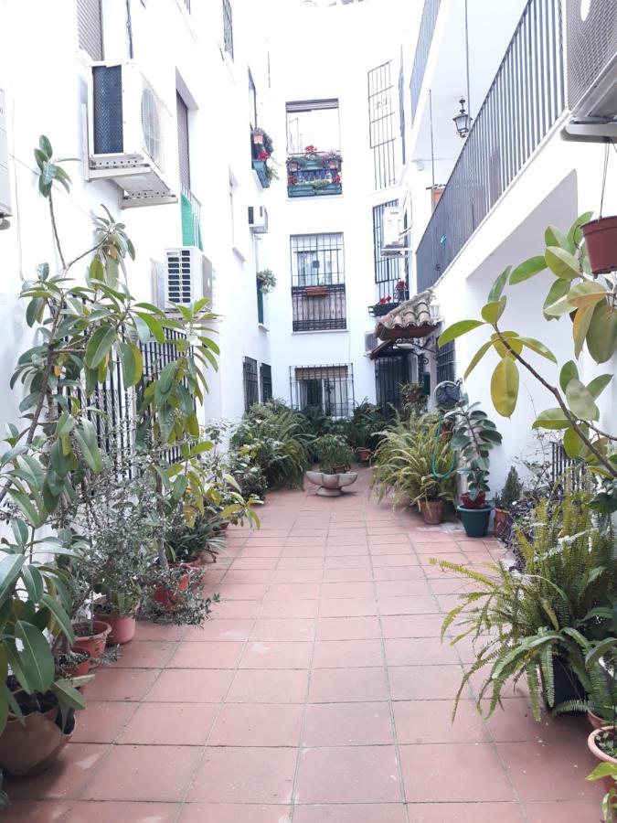 Apartamento Pleno Centro Wallada Cordoba Ngoại thất bức ảnh